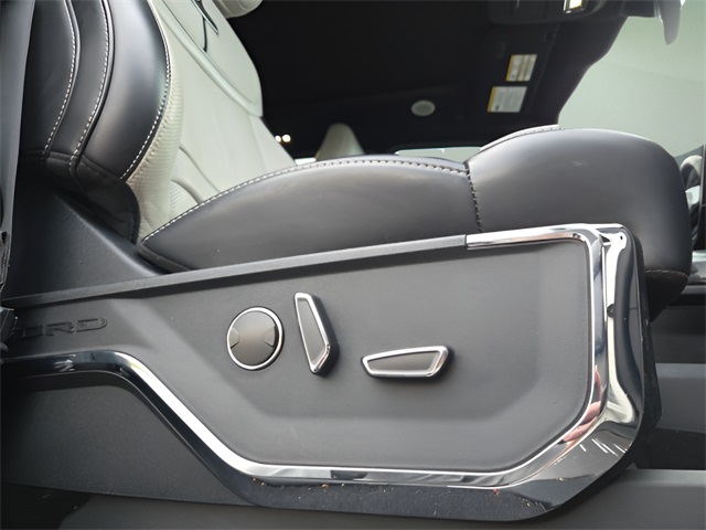 2023 Ford F-150 Lightning Platinum photo 15