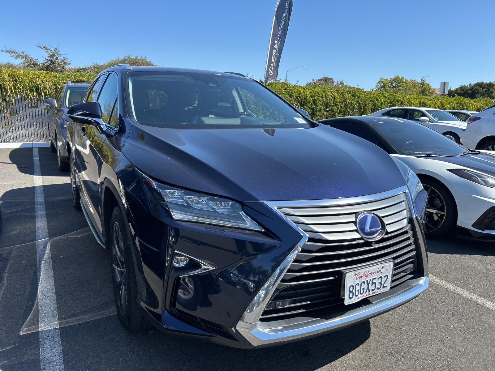 2018 Lexus RX 450hL Luxury photo 3
