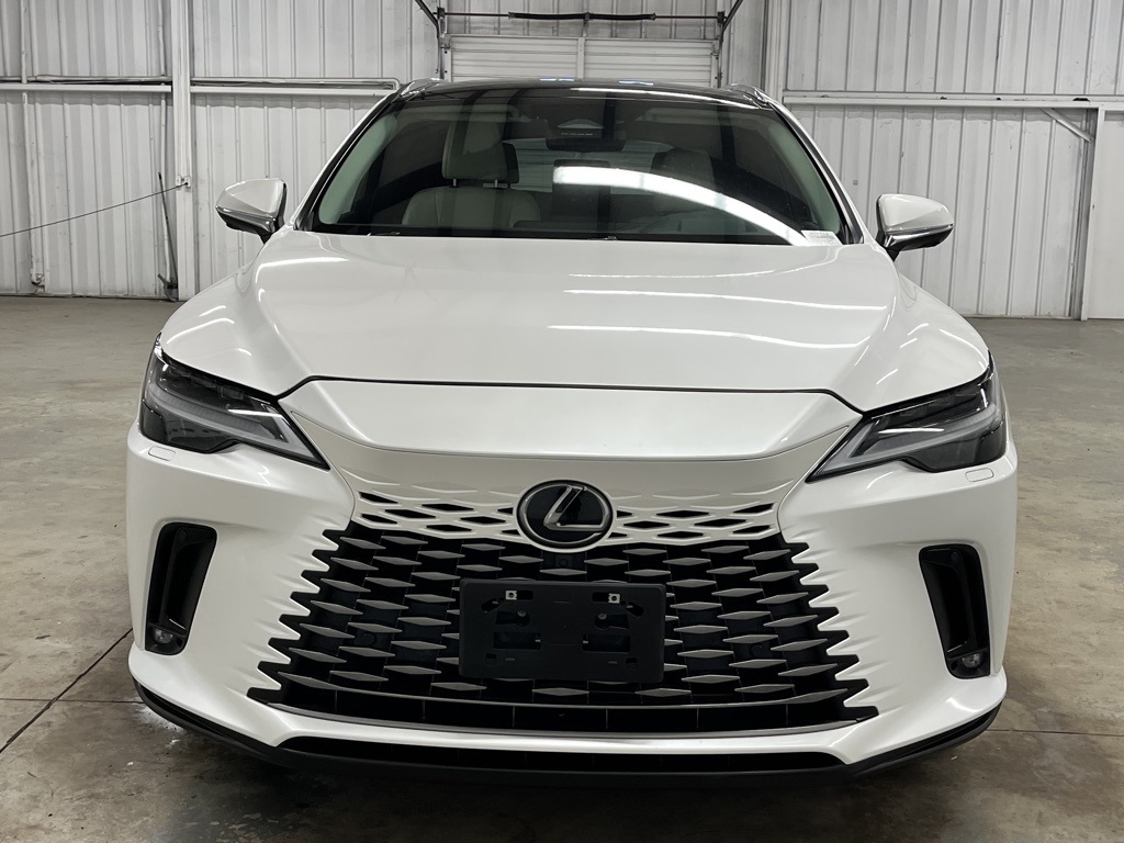 2023 Lexus RX 350 Luxury photo 2