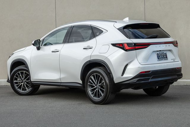 2024 Lexus NX 350h Premium photo 3