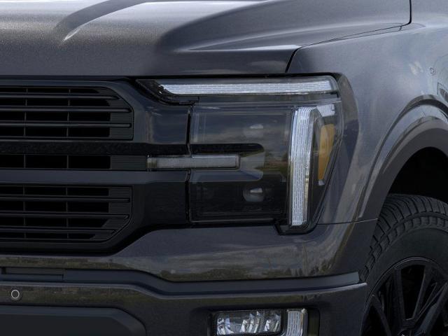 2025 Ford F-150 Platinum photo 36