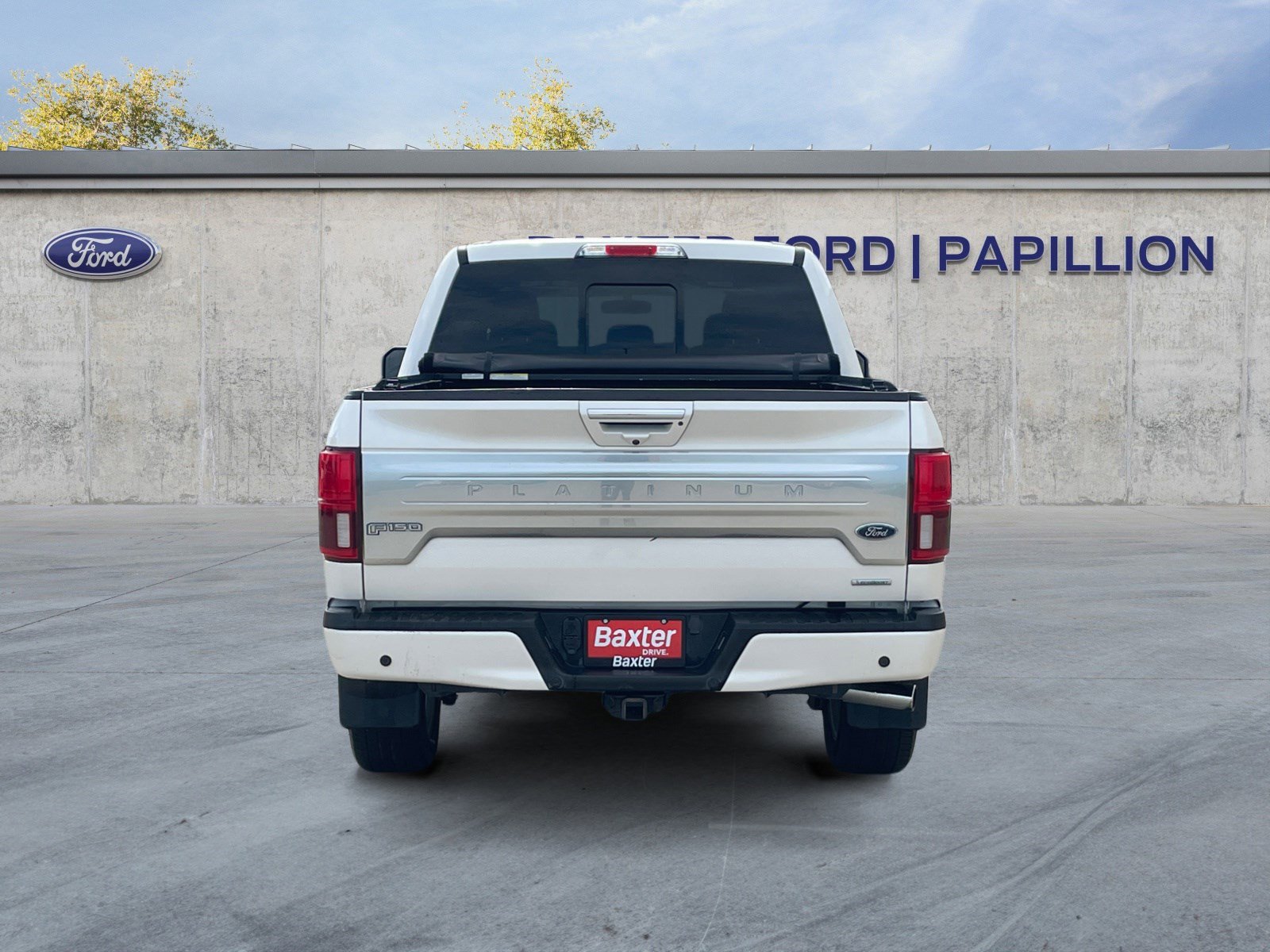 2019 Ford F-150 Platinum photo 4