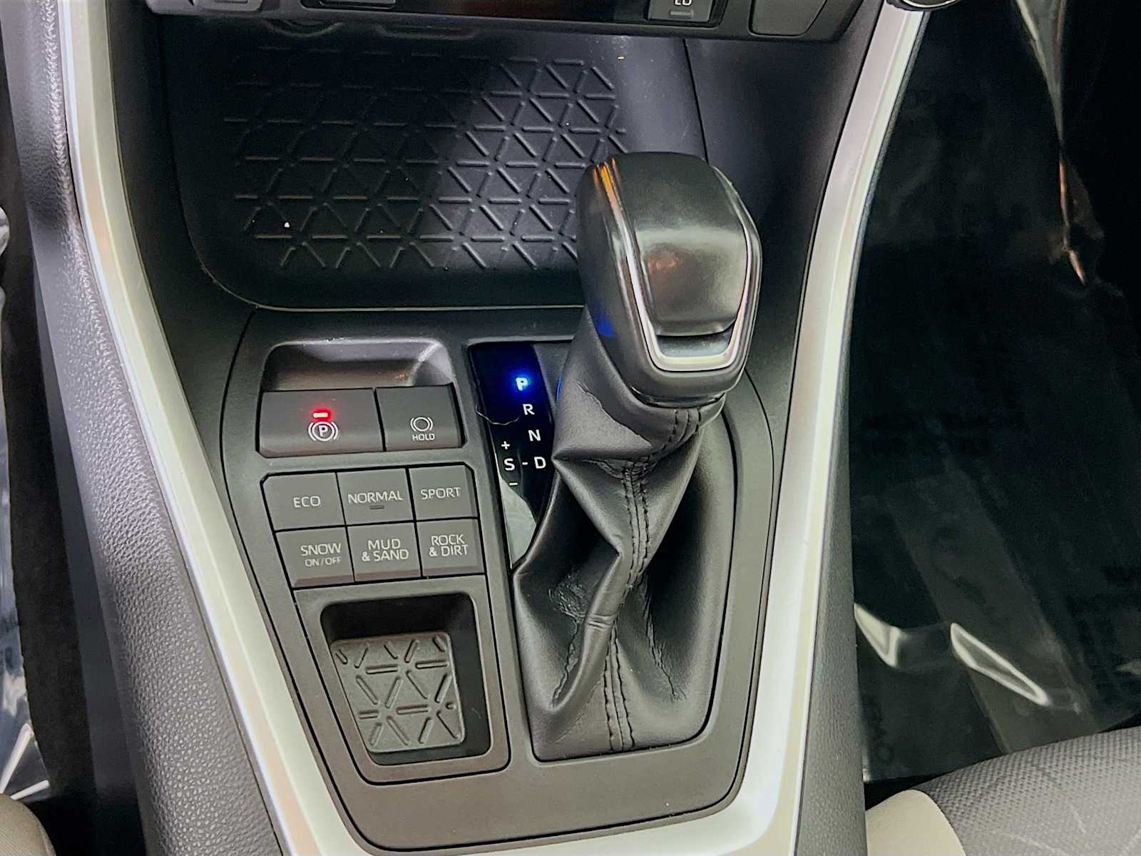 2019 Toyota RAV4 XLE photo 13
