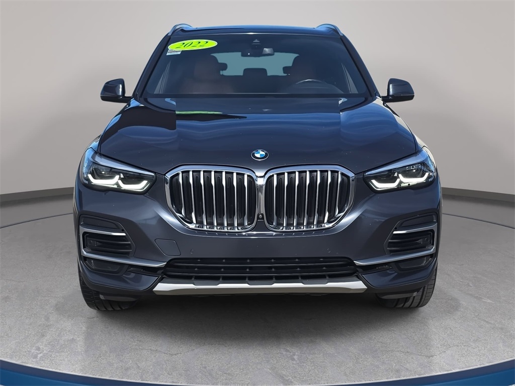 2022 Bmw X5 sDrive40i photo 2