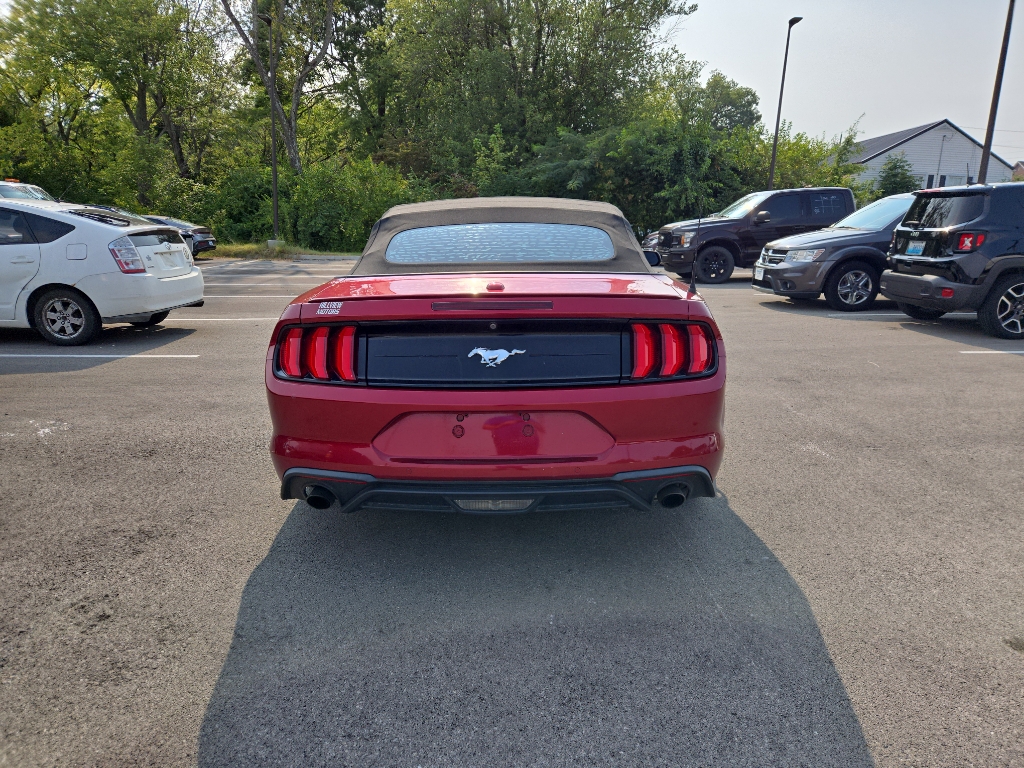 2019 Ford Mustang EcoBoost Premium photo 4