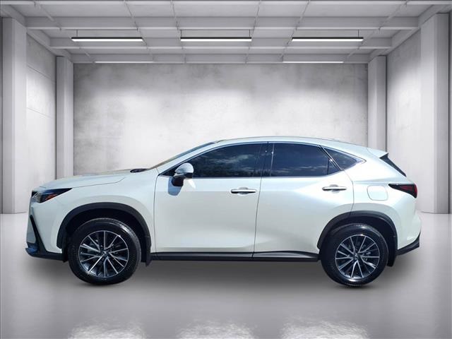 2025 Lexus NX 250 - Photo 6