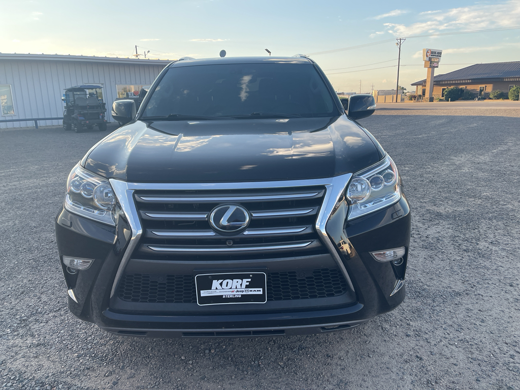 2019 Lexus GX 460 Luxury photo 2