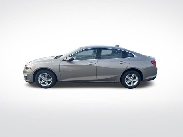 2023 Chevrolet Malibu 1LT photo 2