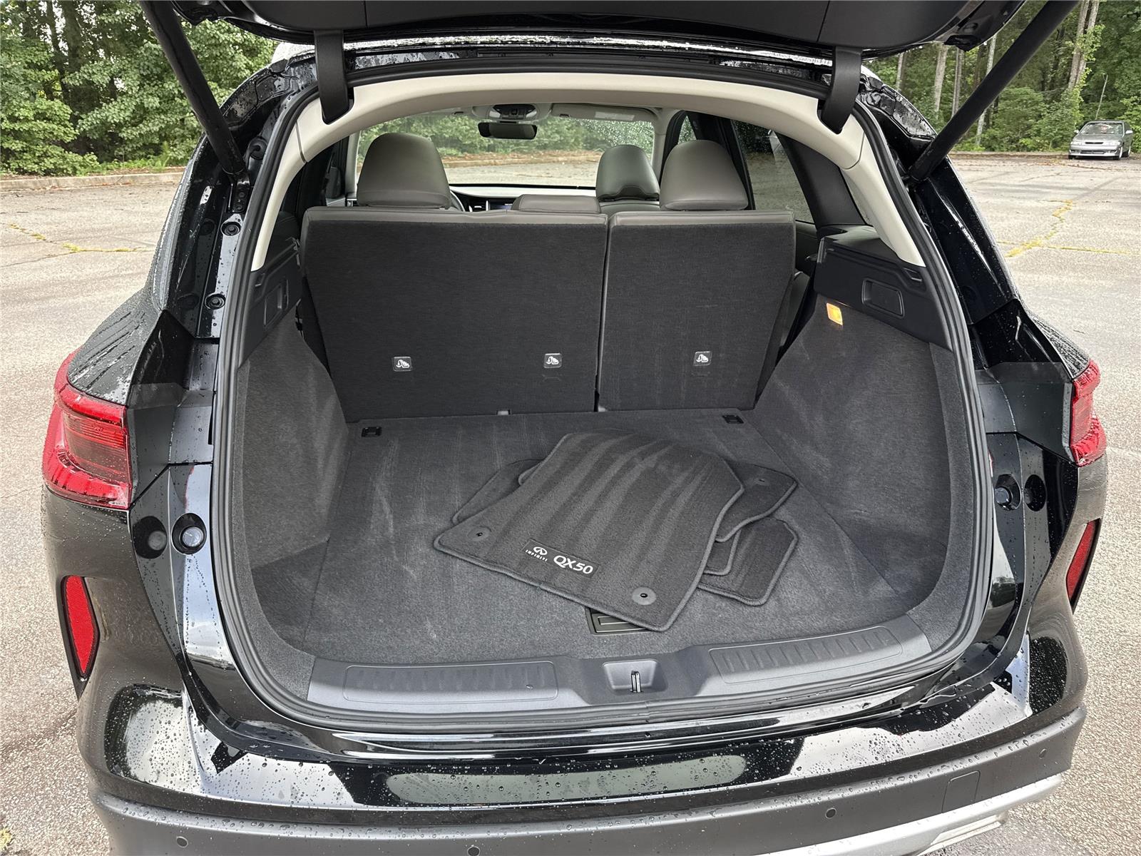 2024 Infiniti QX50 Luxe photo 22