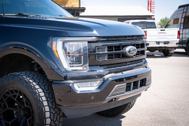 2023 Ford F-150 Platinum photo 4