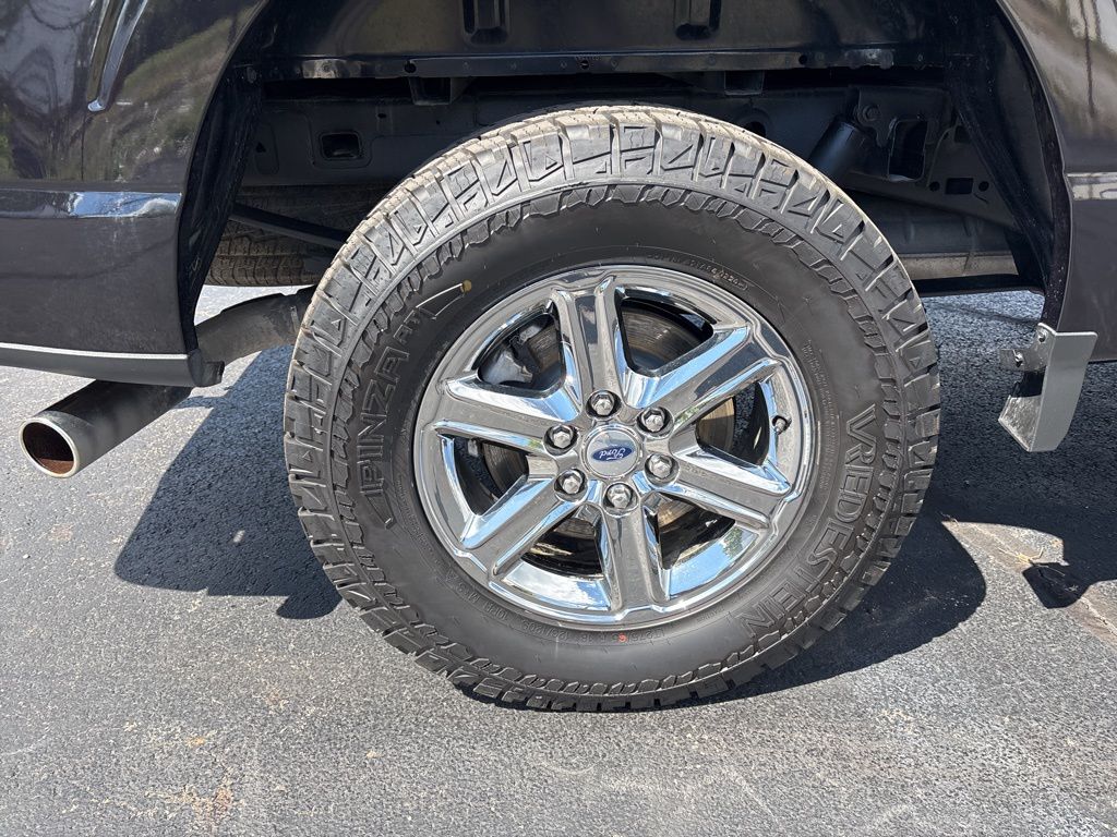 2024 Ford F-150 XLT photo 10