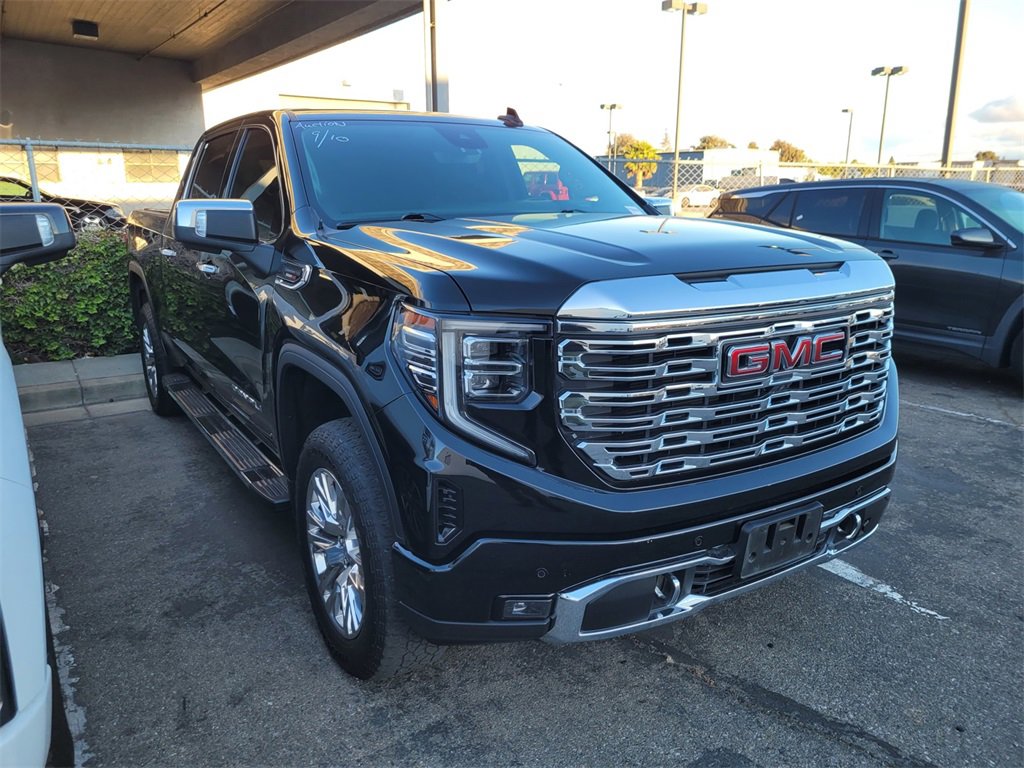 2023 Gmc Sierra 1500 Denali photo 3