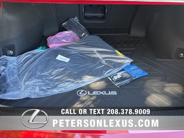 2025 Lexus ES 300h photo 18