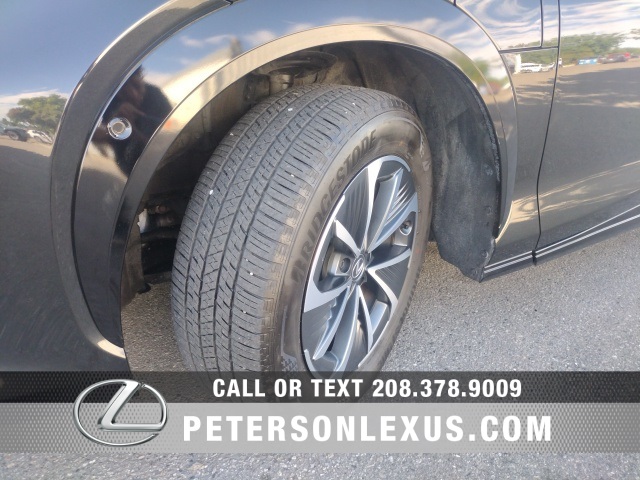2023 Lexus RZ 450e Premium photo 10
