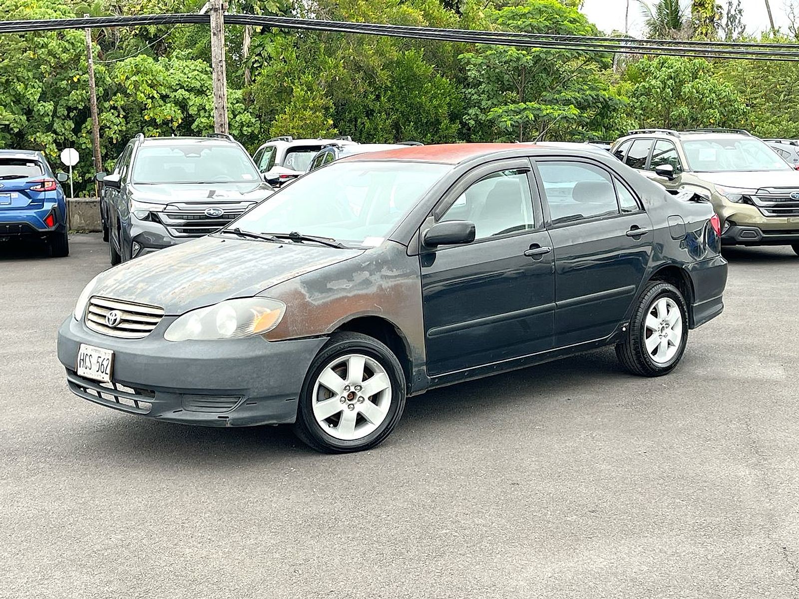 2003 Toyota Corolla