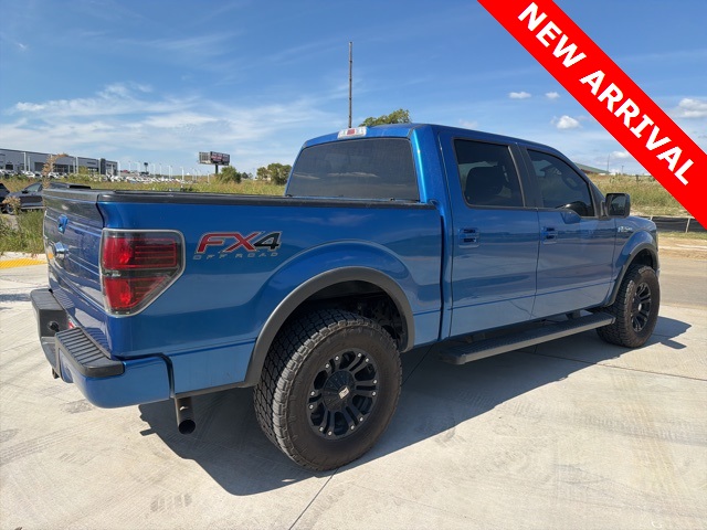 2014 Ford F-150 FX4 photo 3