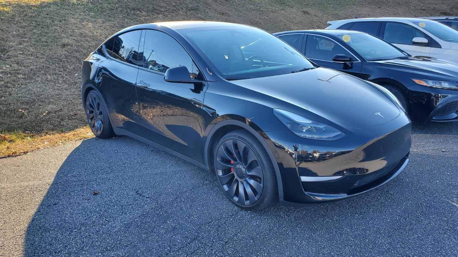 Used 2024 Tesla Model Y Performance with VIN 7SAYGDEF6RF046565 for sale in Northfield, Minnesota