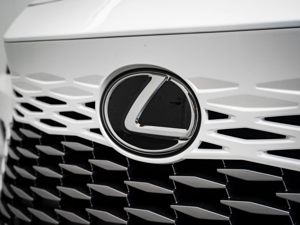 2023 Lexus RX 350 Premium photo 3