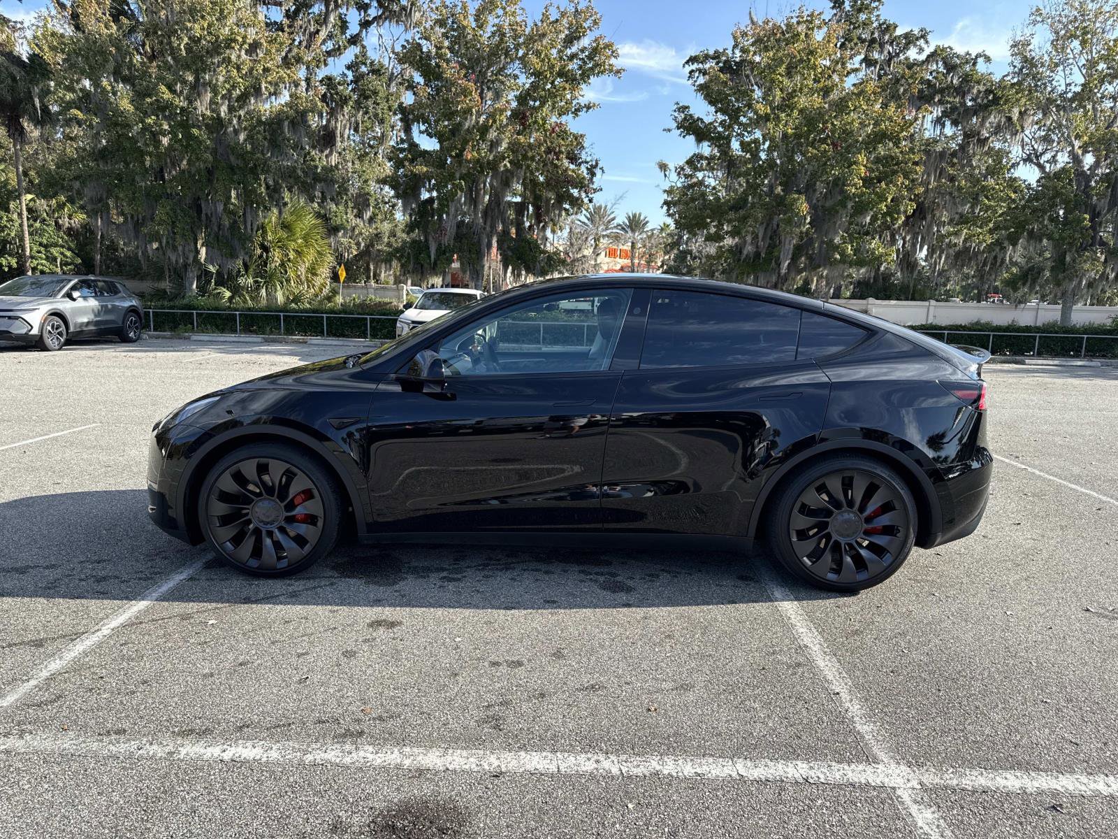 2025 Tesla Model Y Performance photo 3