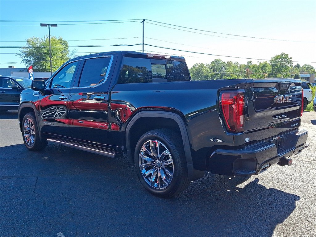2025 Gmc Sierra 1500 Denali photo 3
