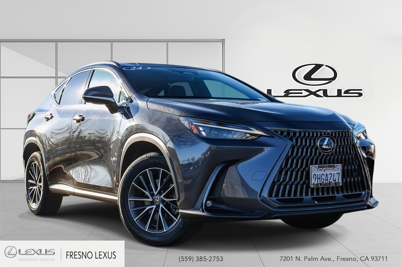 2024 Lexus NX Base's photo