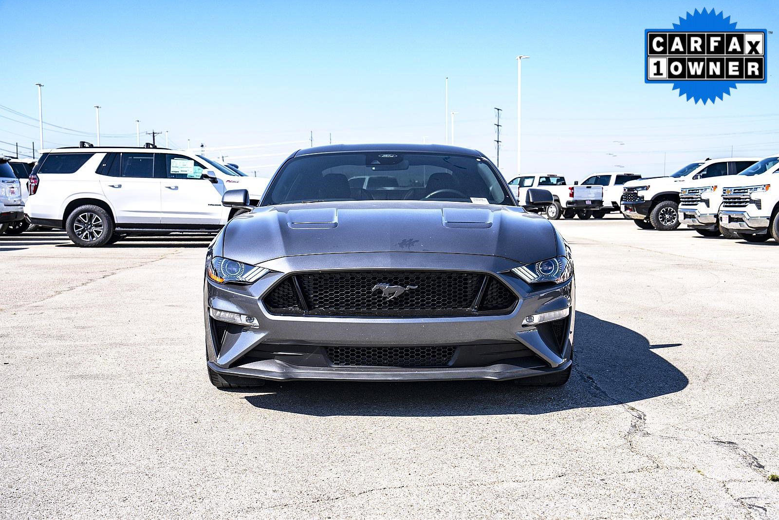 Used 2021 Ford Mustang GT Premium in Hutto FA7186 Covert Ford of Hutto