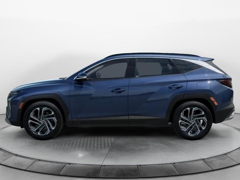 2026 Hyundai Tucson Limited photo 3