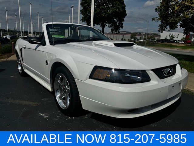 2004 Ford Mustang GT photo 13