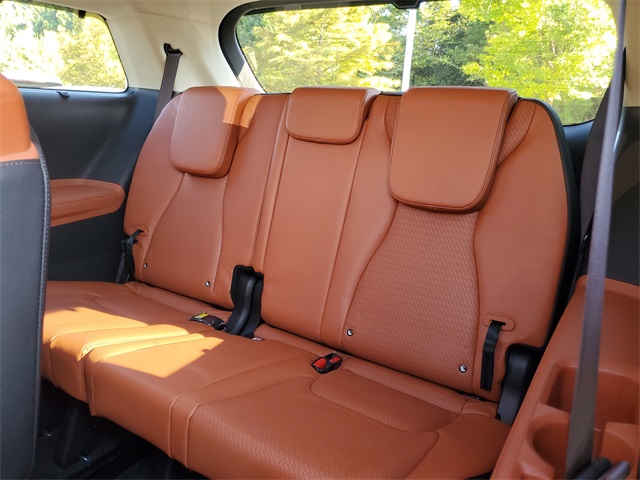 2026 Kia Carnival SX Prestige photo 8