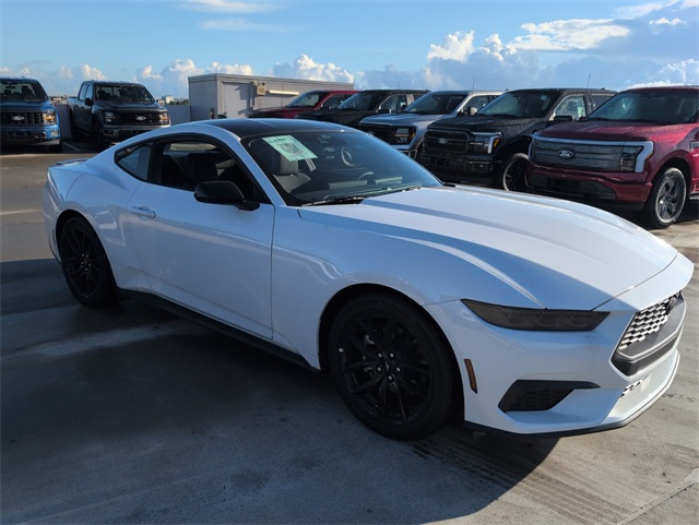 2025 Ford Mustang EcoBoost photo 2