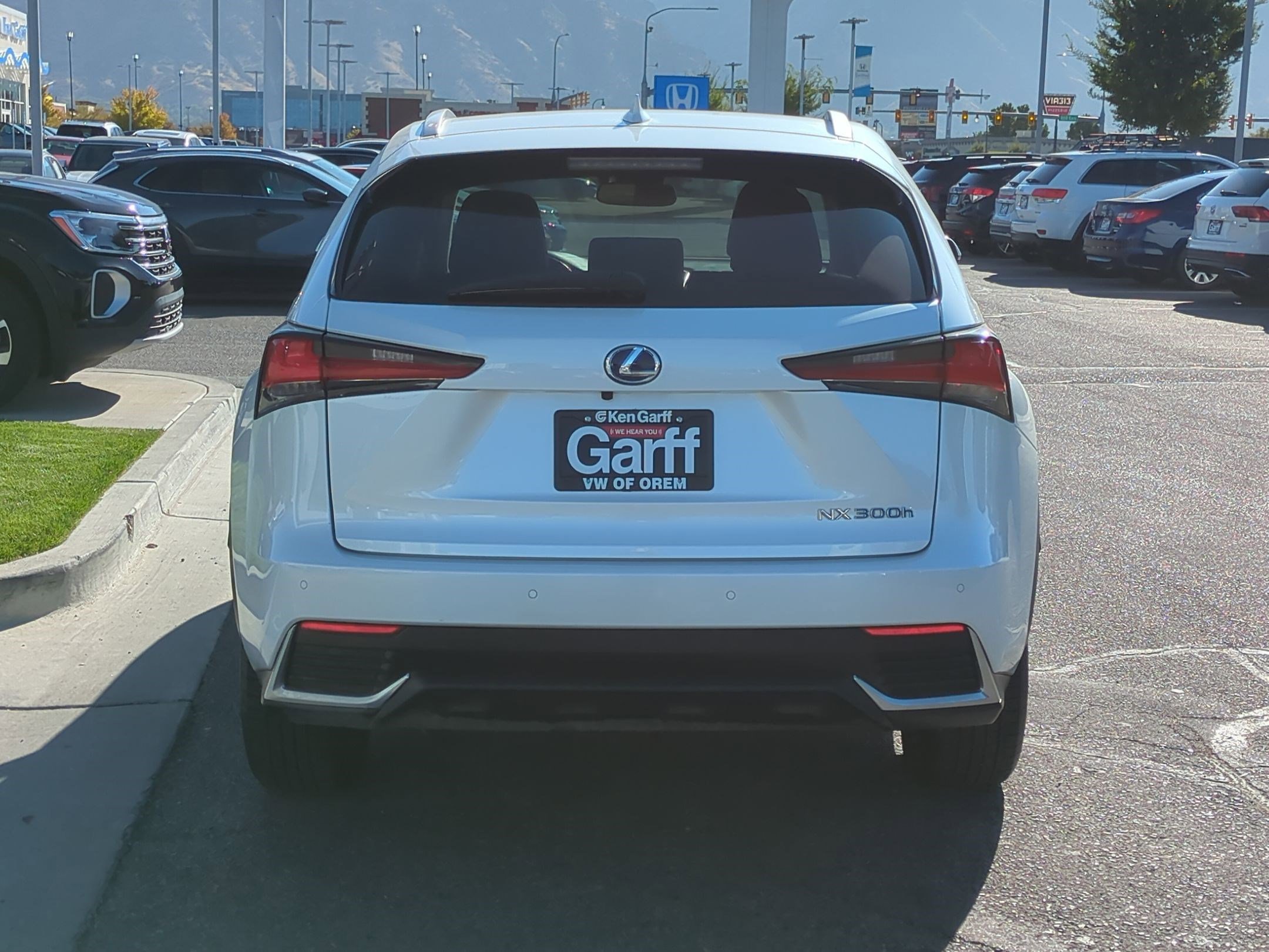 2021 Lexus NX 300h photo 3