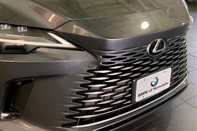 2024 Lexus RX 450h+ Luxury photo 24