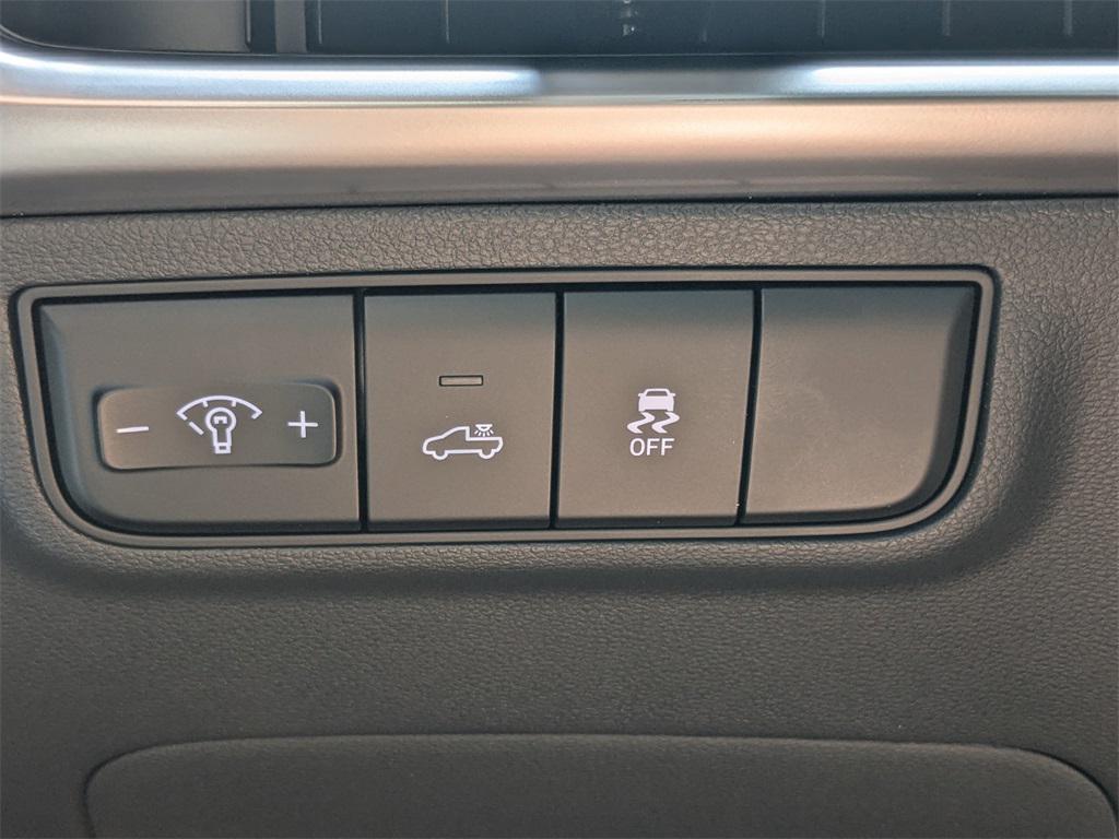 2025 Hyundai Santa Cruz SEL Activity photo 23