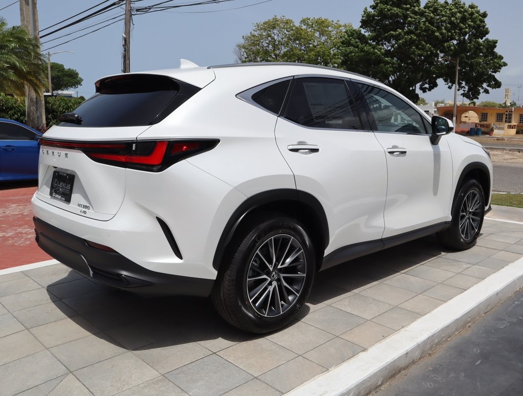 2025 Lexus NX 350 photo 5