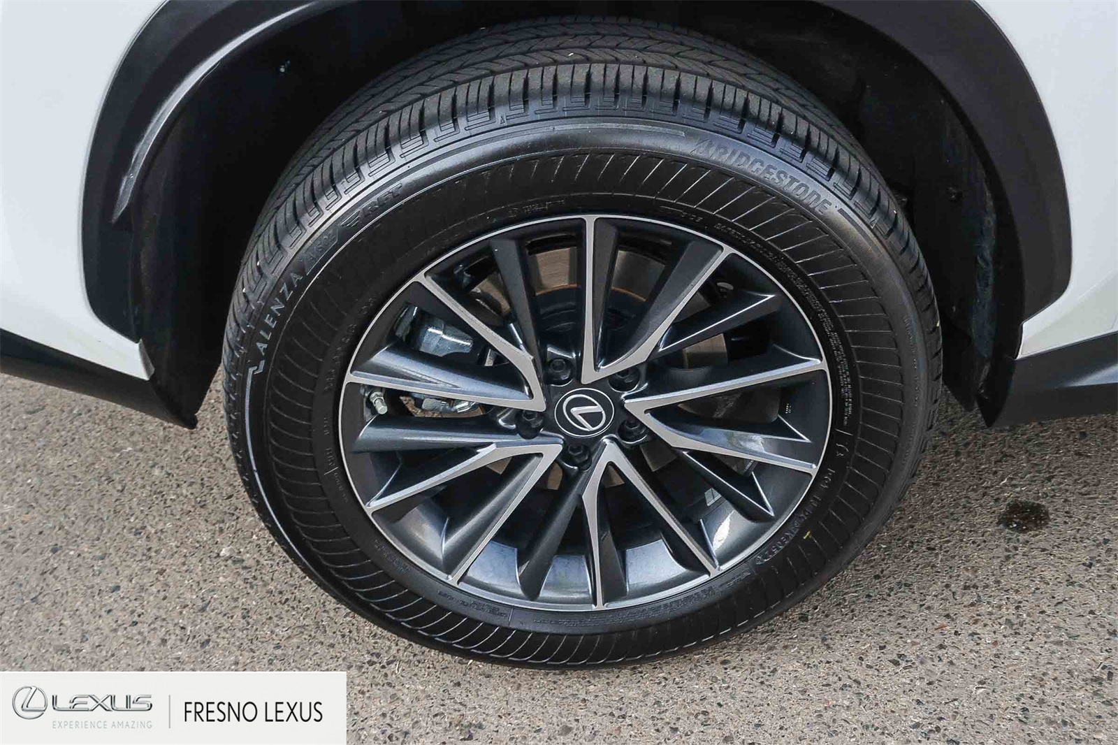 2022 Lexus NX 350h Premium photo 7