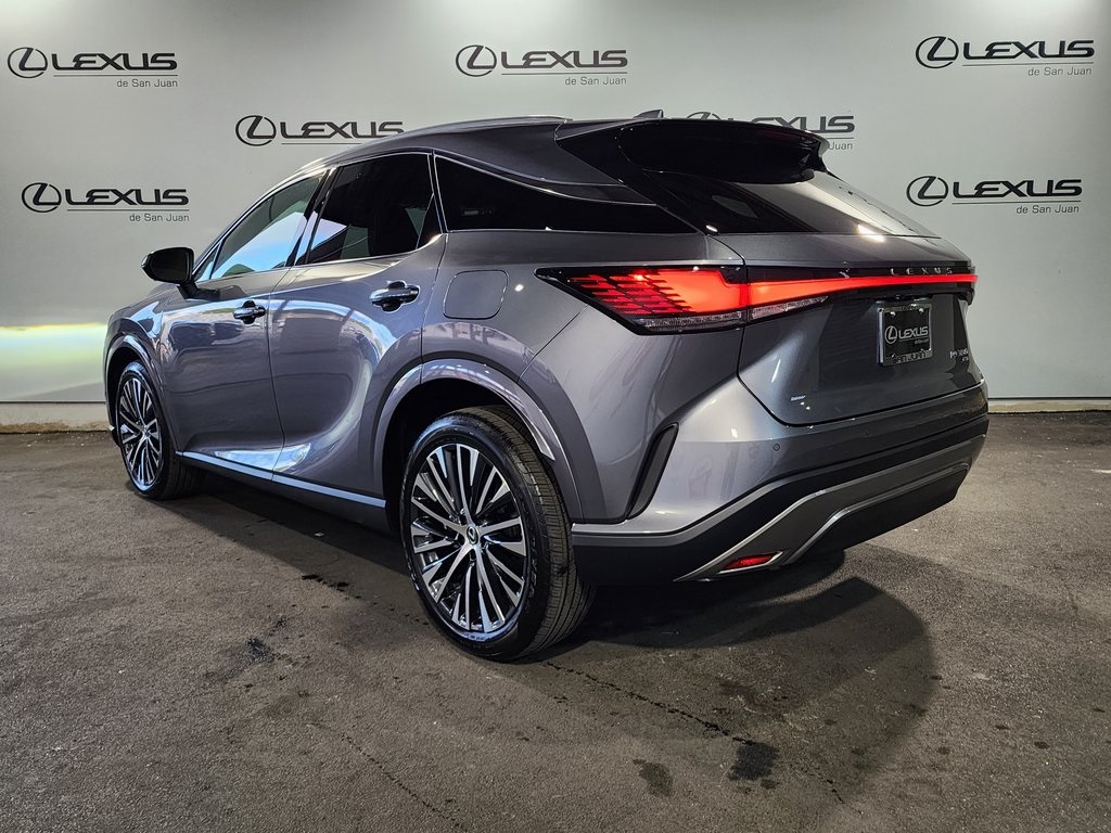 2025 Lexus RX 350 photo 7