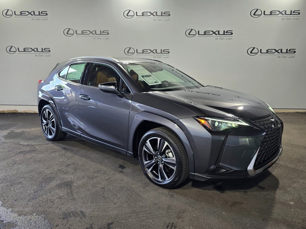 2025 Lexus UX photo 3