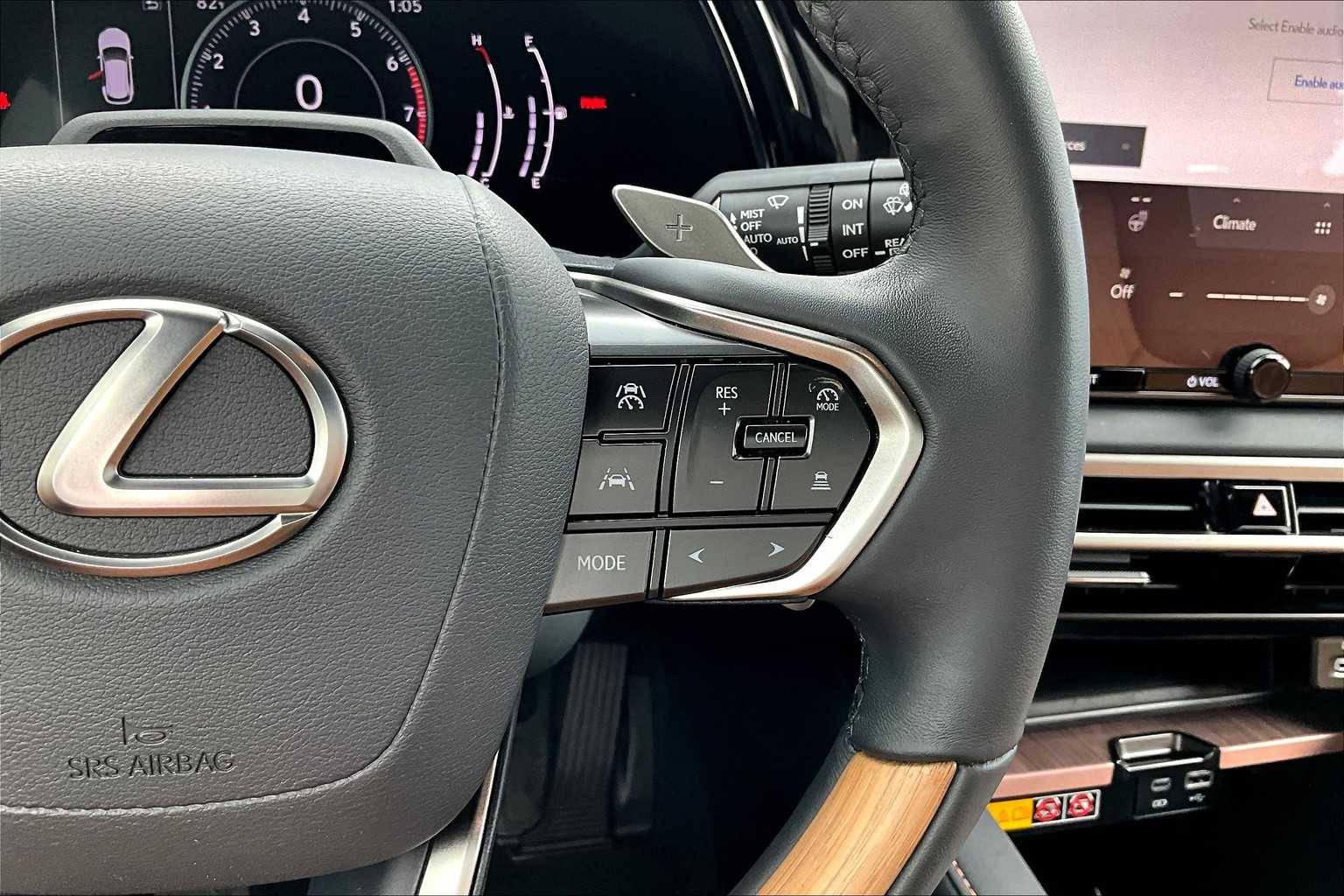2024 Lexus RX Premium photo 23