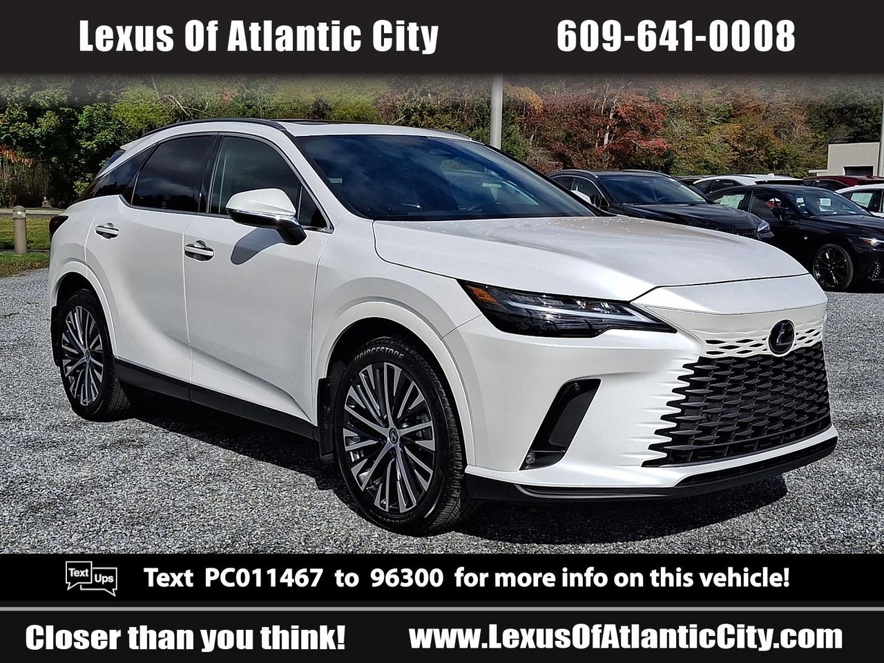 2023 Lexus RX 350's photo