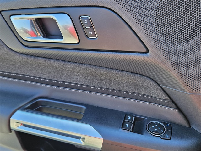 2025 Ford Mustang EcoBoost photo 21