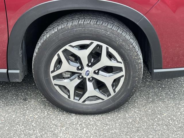 2024 Subaru Forester Premium Base photo 4