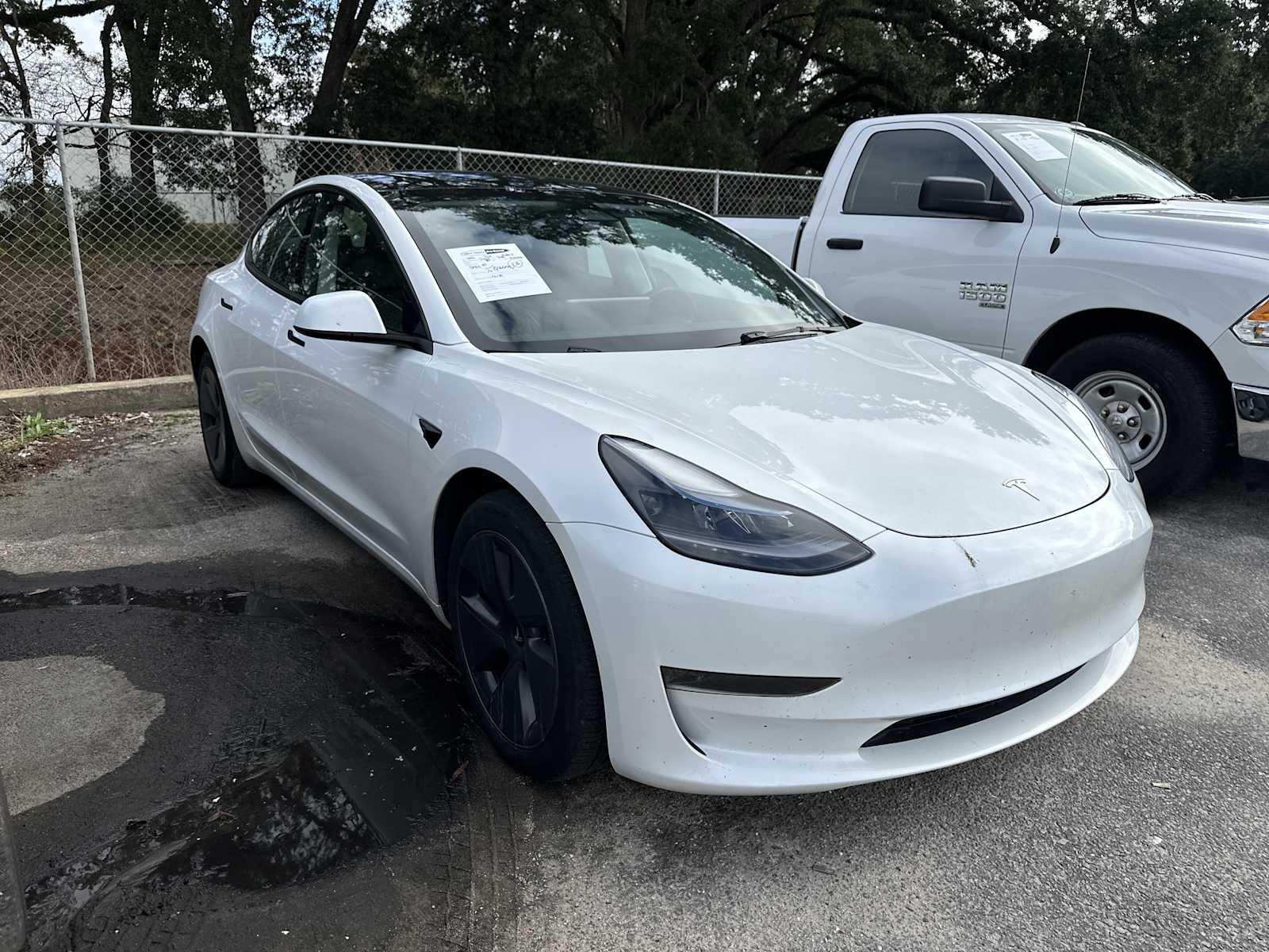 2023 Tesla Model 3 Base's photo