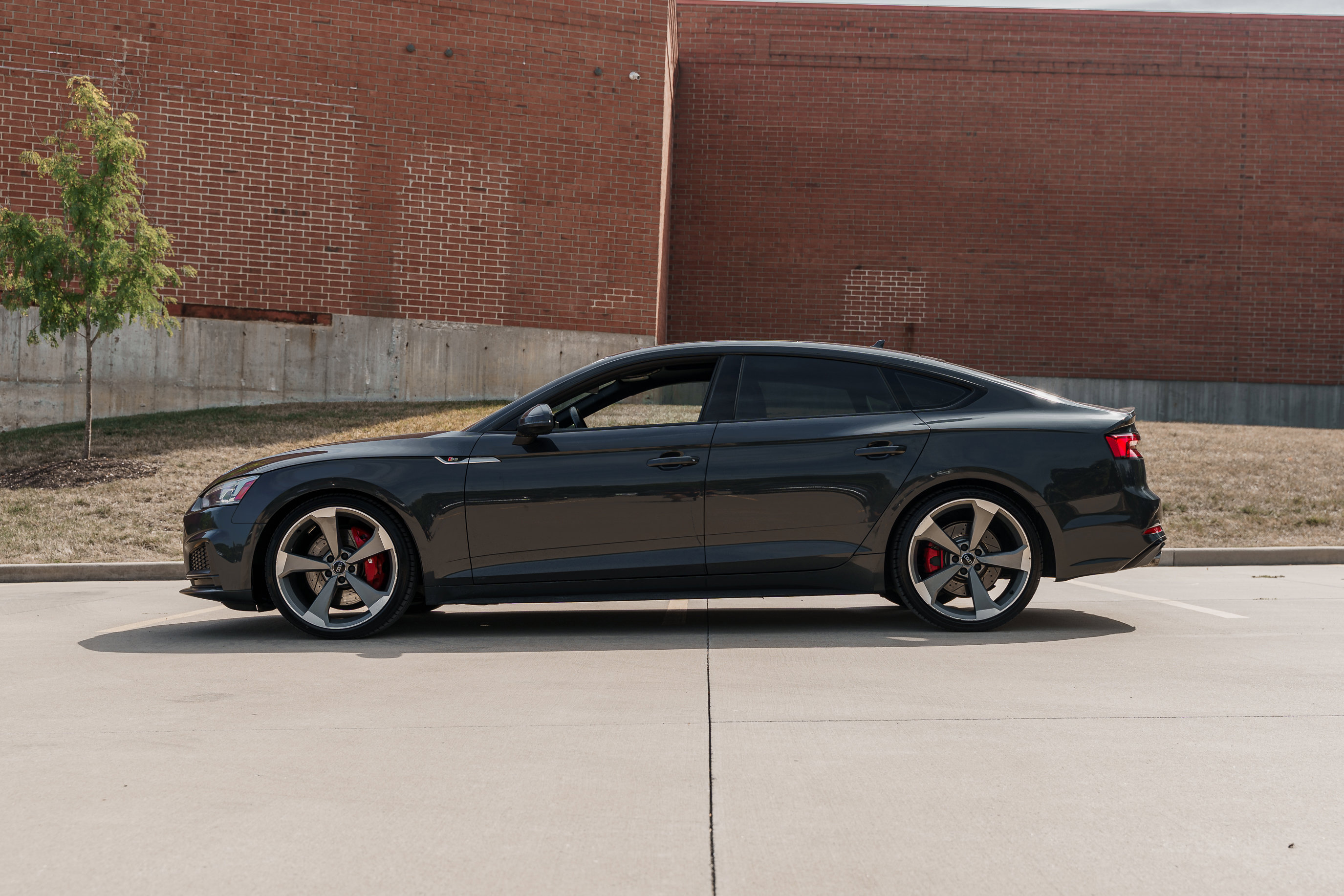 2019 Audi S5 Prestige photo 6