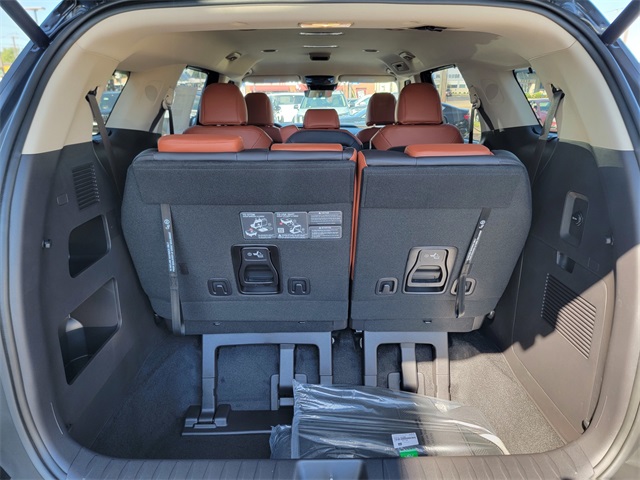 2026 Kia Carnival EX photo 14