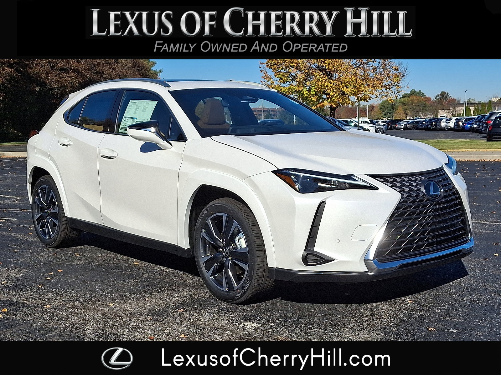 2025 Lexus UX Hybrid 300h Premium's photo