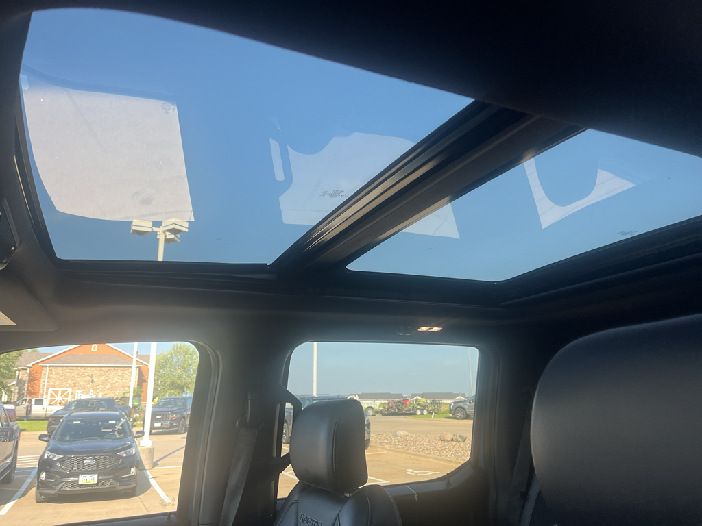 2020 Ford F-150 Raptor photo 14
