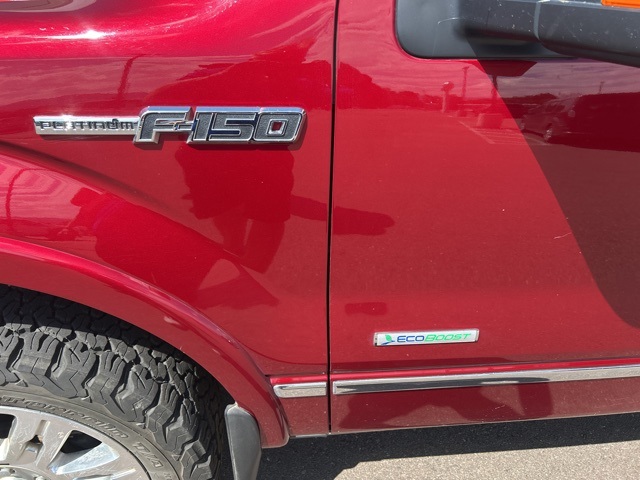 2013 Ford F-150 Platinum photo 2