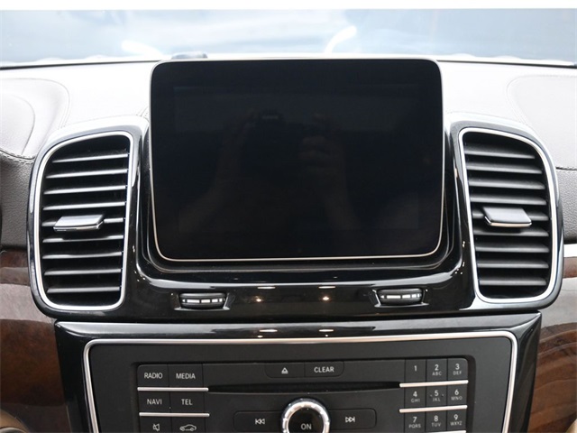 2019 Mercedes Benz GLS 450 4MATIC photo 2
