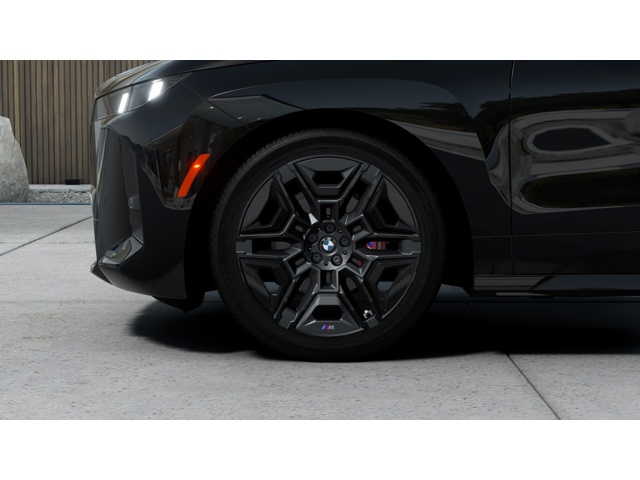 2026 Bmw iX photo 5