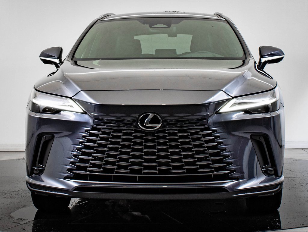 2024 Lexus RX 450h Luxury photo 2